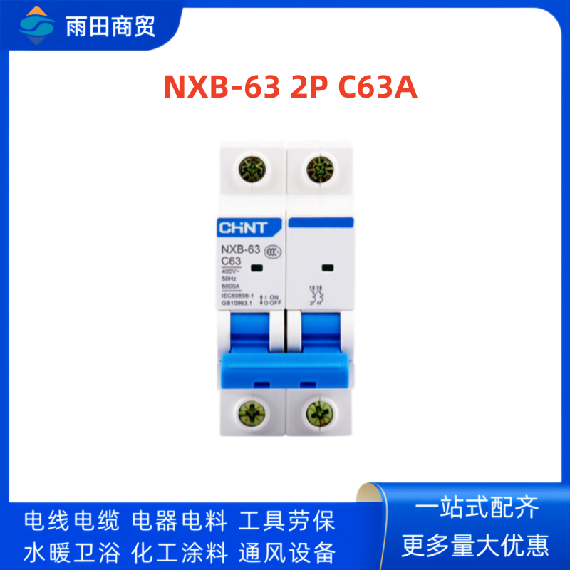 正泰 微断空开 NXB-63 2P C63A